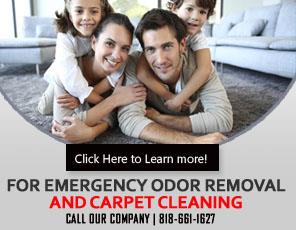 Odor Removal - Carpet Cleaning La Canada Flintridge, CA
