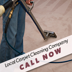 Contact Carpet Cleaning Company for Services